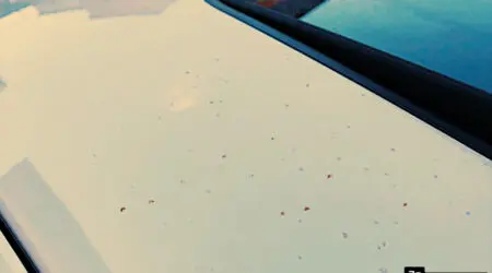 j ai des taches de resine sur mon véhicule je fais quoi ?