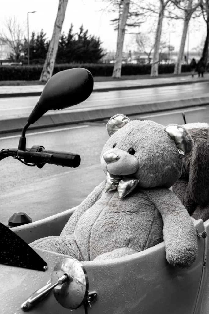Peluche ours dans un scoot sur la route
